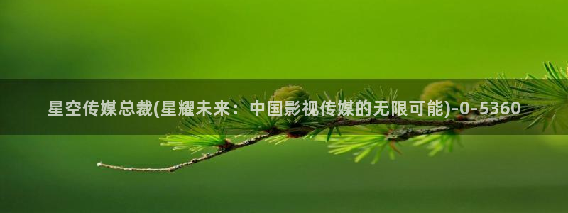 星空传媒原创免费观看