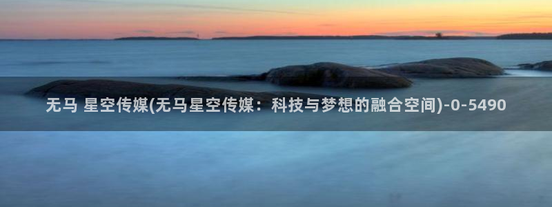 星空传媒rmvb 下载