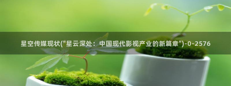 星空传媒明儿作品