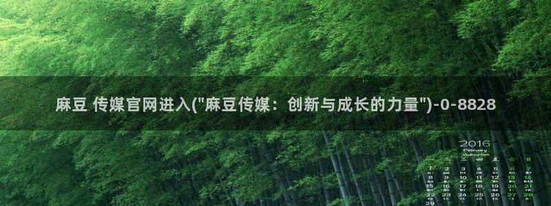 麻豆av传媒官网进入