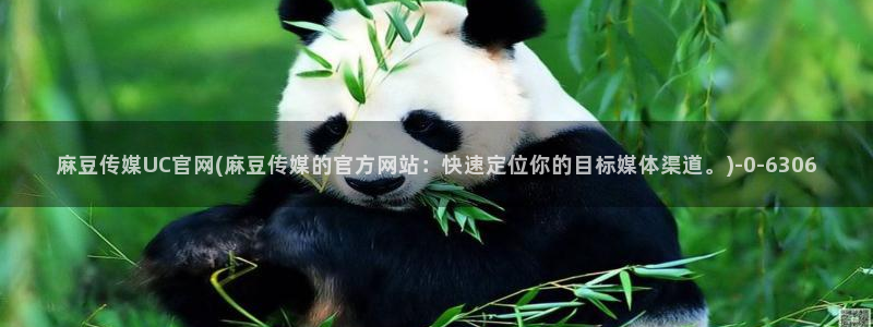 麻豆新传媒官网