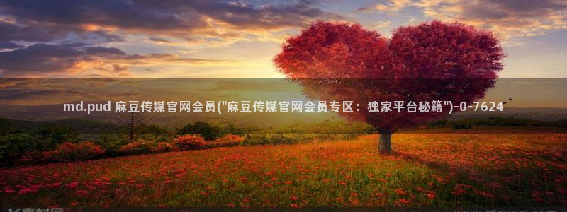 9 1麻豆传媒官网