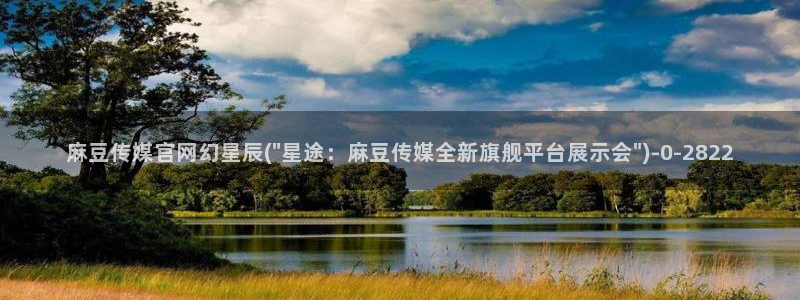 麻豆传媒映像官网