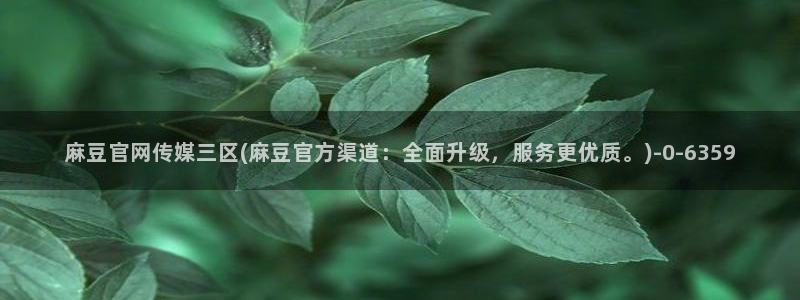 麻豆官网传媒免费网站