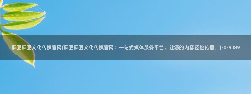 麻豆传媒官网介绍