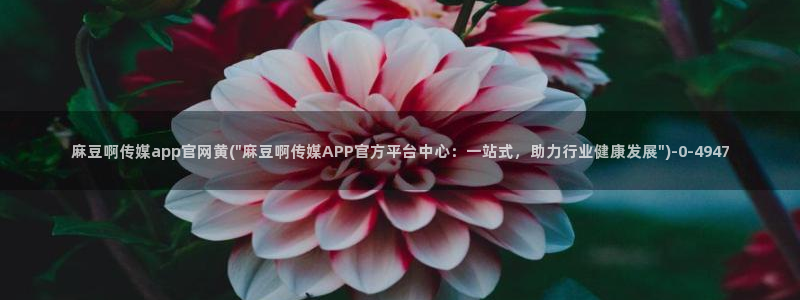 麻豆传媒官网作品：麻豆啊传媒app官网黄(\