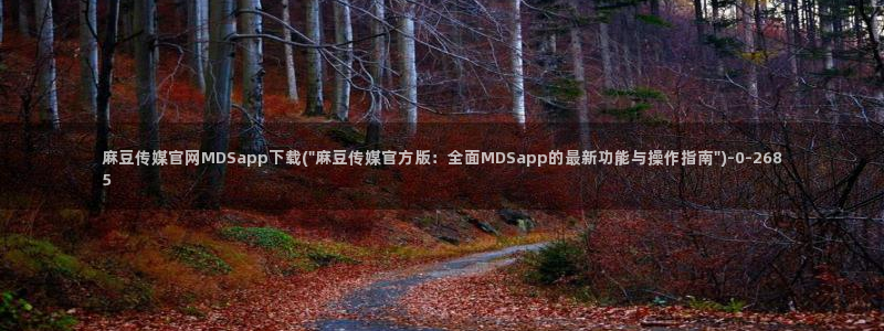 麻豆传媒官网在哪找