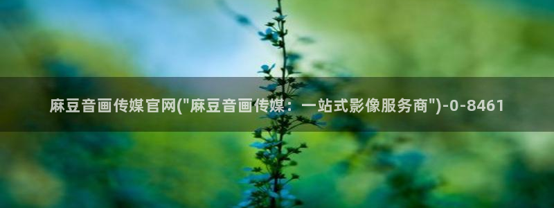 麻豆新直播传媒官网