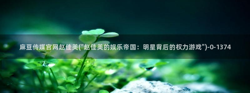 麻豆传媒印象官网：麻豆传媒官网赵佳美(\
