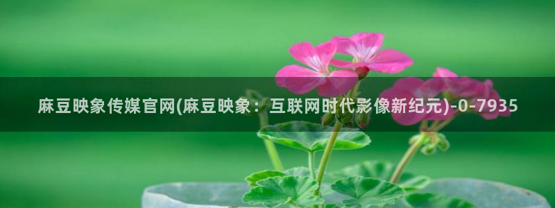 麻豆传媒官网怎么破解：麻豆映象传媒官网(麻豆映象：互联网时代影像新纪元)