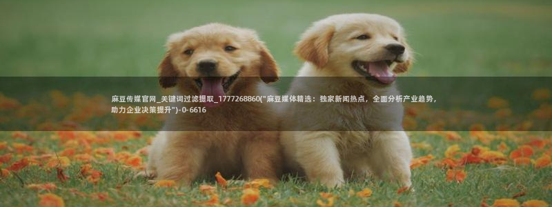 麻豆传媒官网樱桃