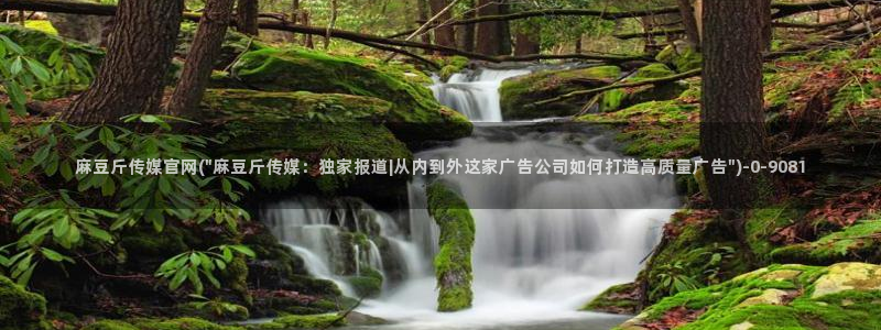 传媒的官网麻豆：麻豆斤传媒官网(\