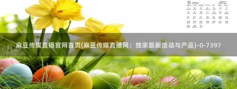 麻豆传媒官网 视频