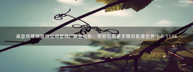 台湾麻豆传媒官网入口