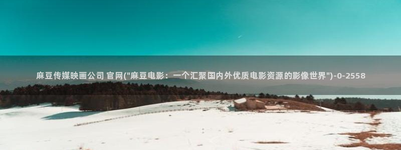 麻豆经纪传媒官网