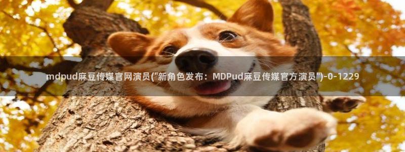 md 麻豆传媒官网：mdpud麻豆传媒官网演员(\