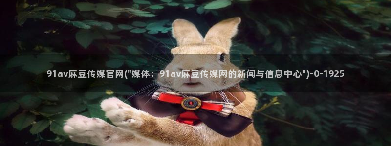 麻豆视传媒官网入口