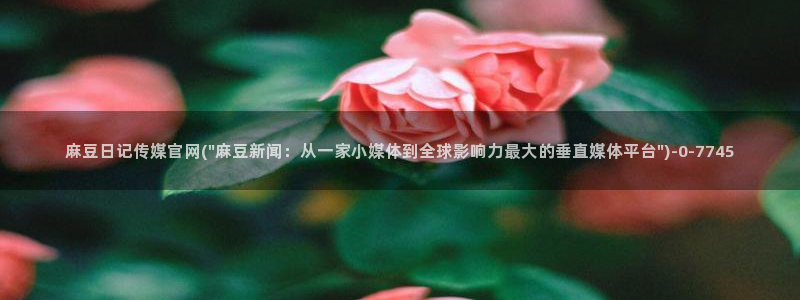 麻豆传媒官网正在播放