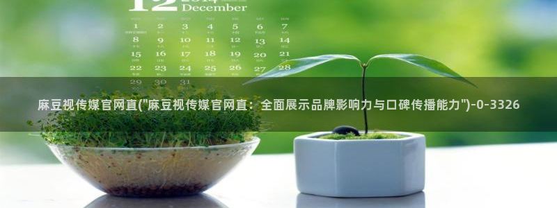 麻豆影视传媒官网app