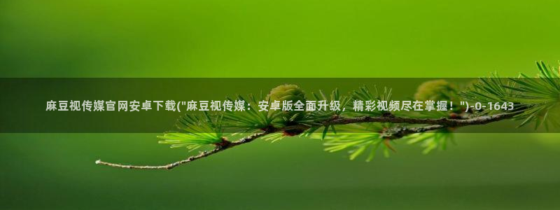 麻豆精品传媒官网入口