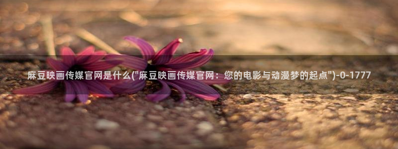 麻豆传媒官网14